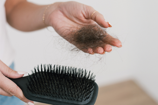 Hand holding a clump of shed hair above a black paddle brush against a neutral background